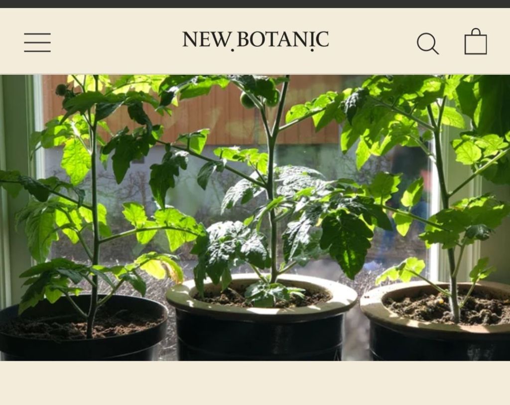 Odla inomhus – våra bästa tips – New&nbsp;Botanic