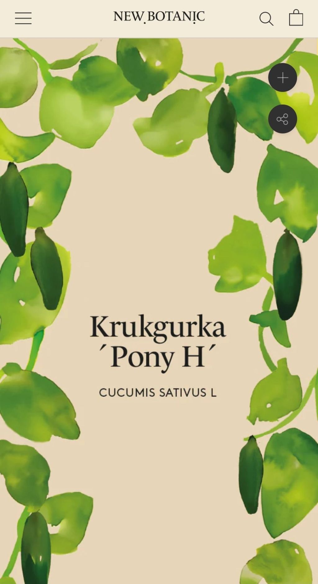 Onsdag’s Caféet 11.00-14.00