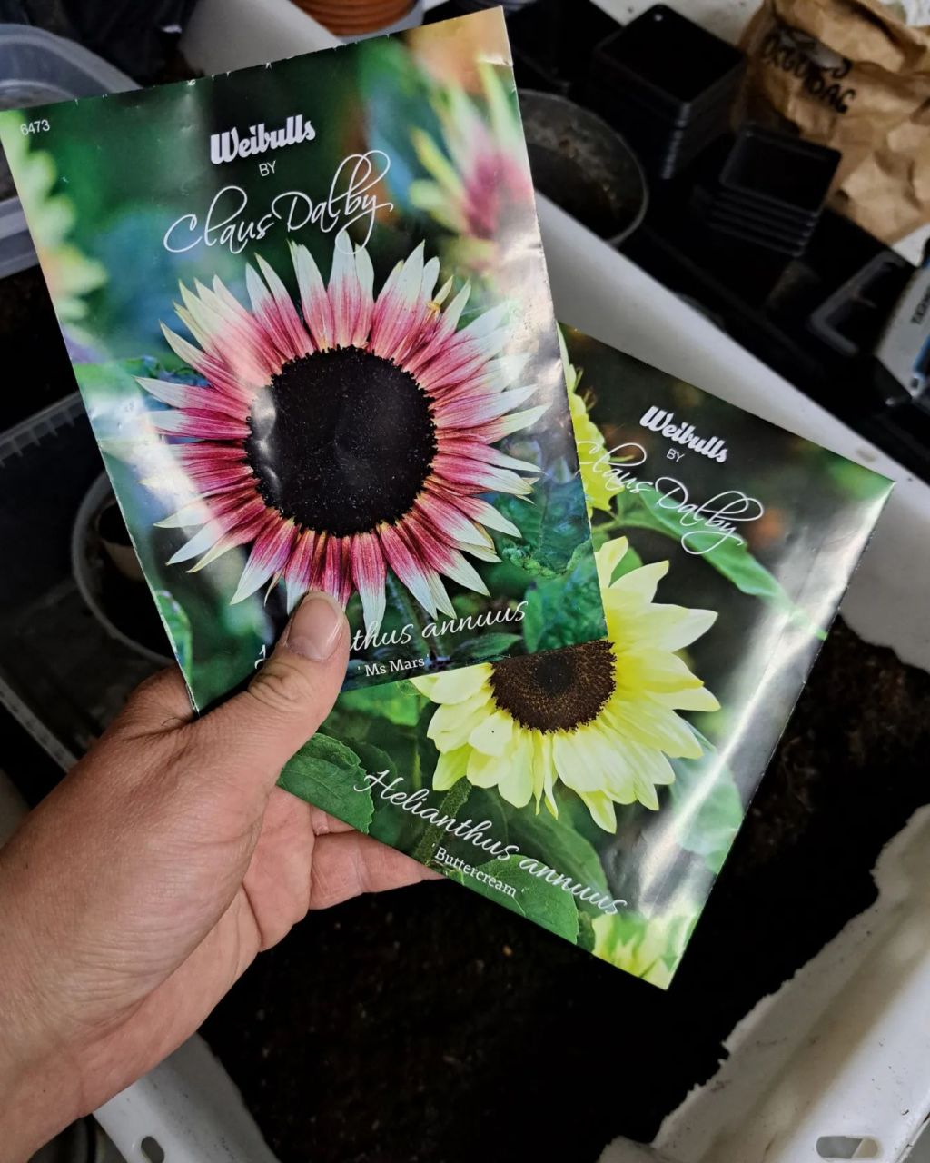 Frön å åter&nbsp;plantor