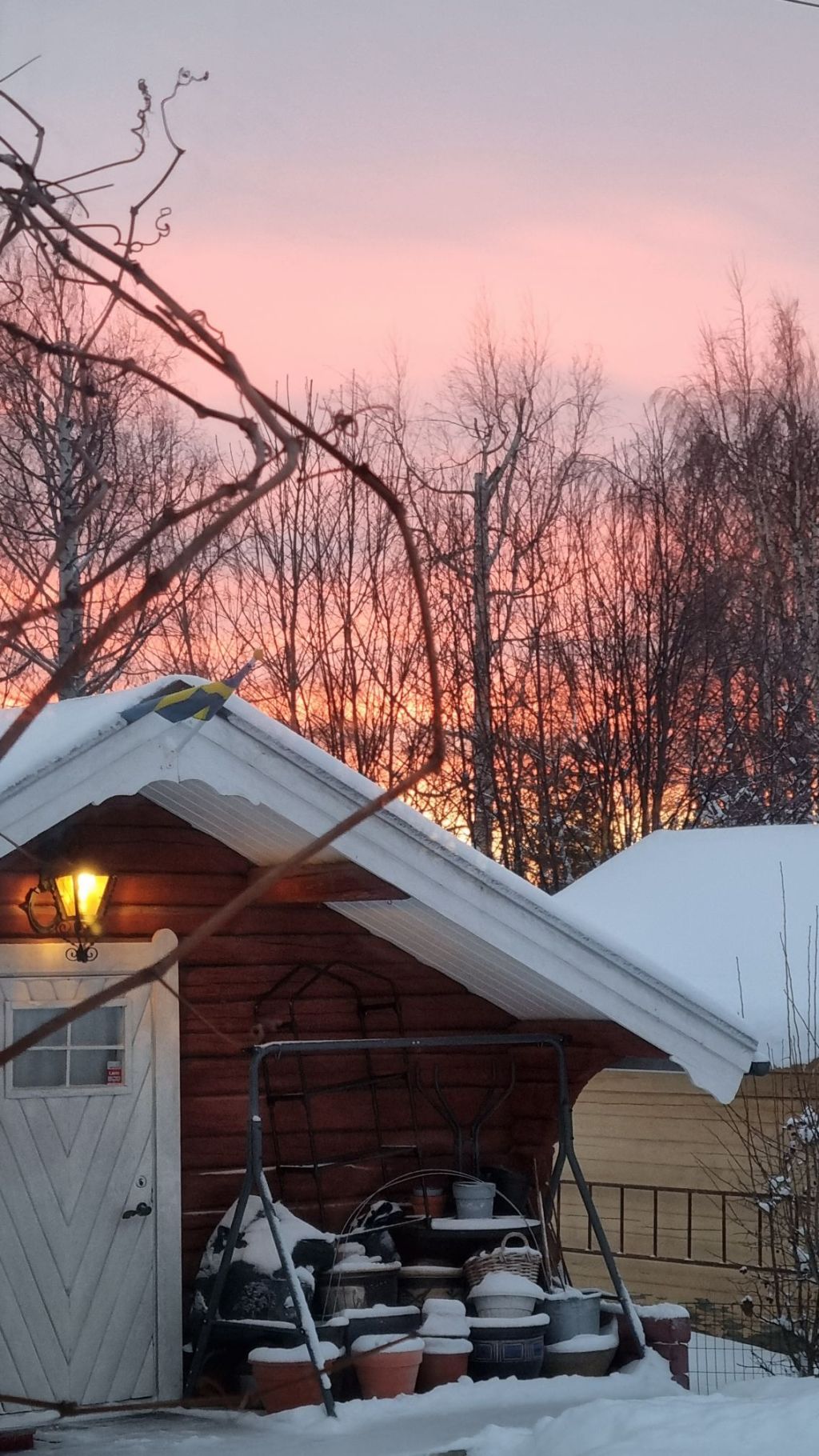 Morgonrodnad 🤗❤️