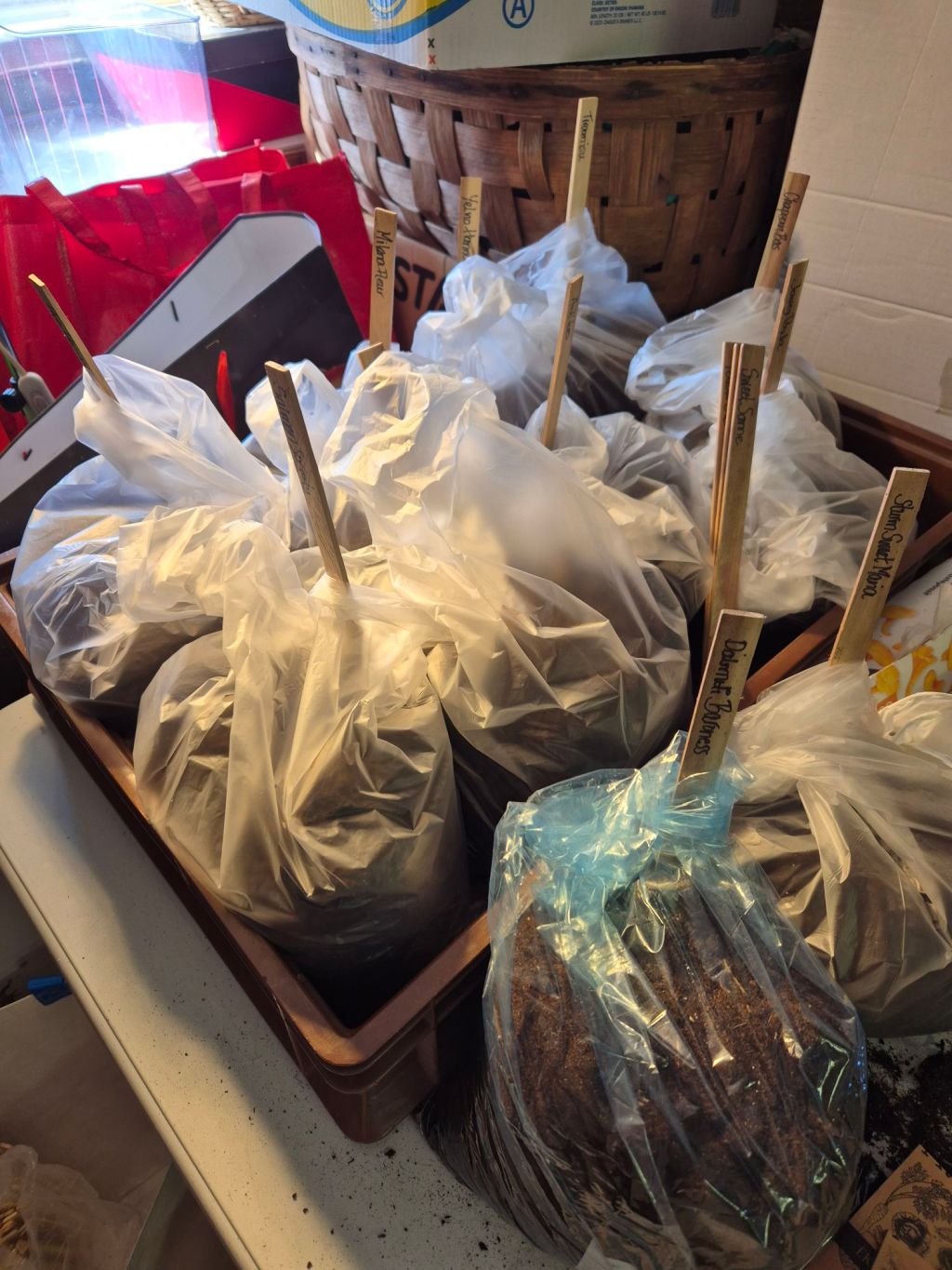 Söndag den 29&nbsp;mars…