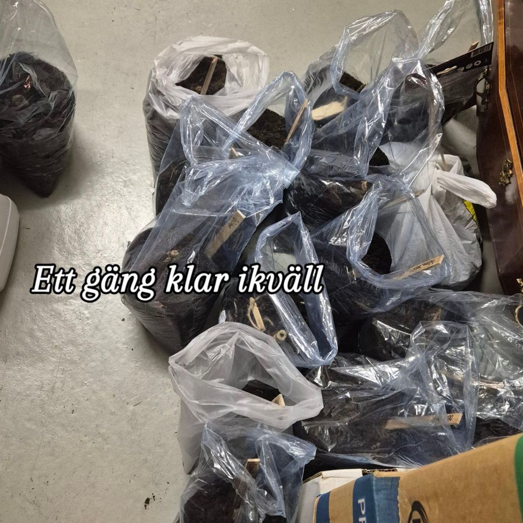 Våren är i antåg&nbsp;🎶