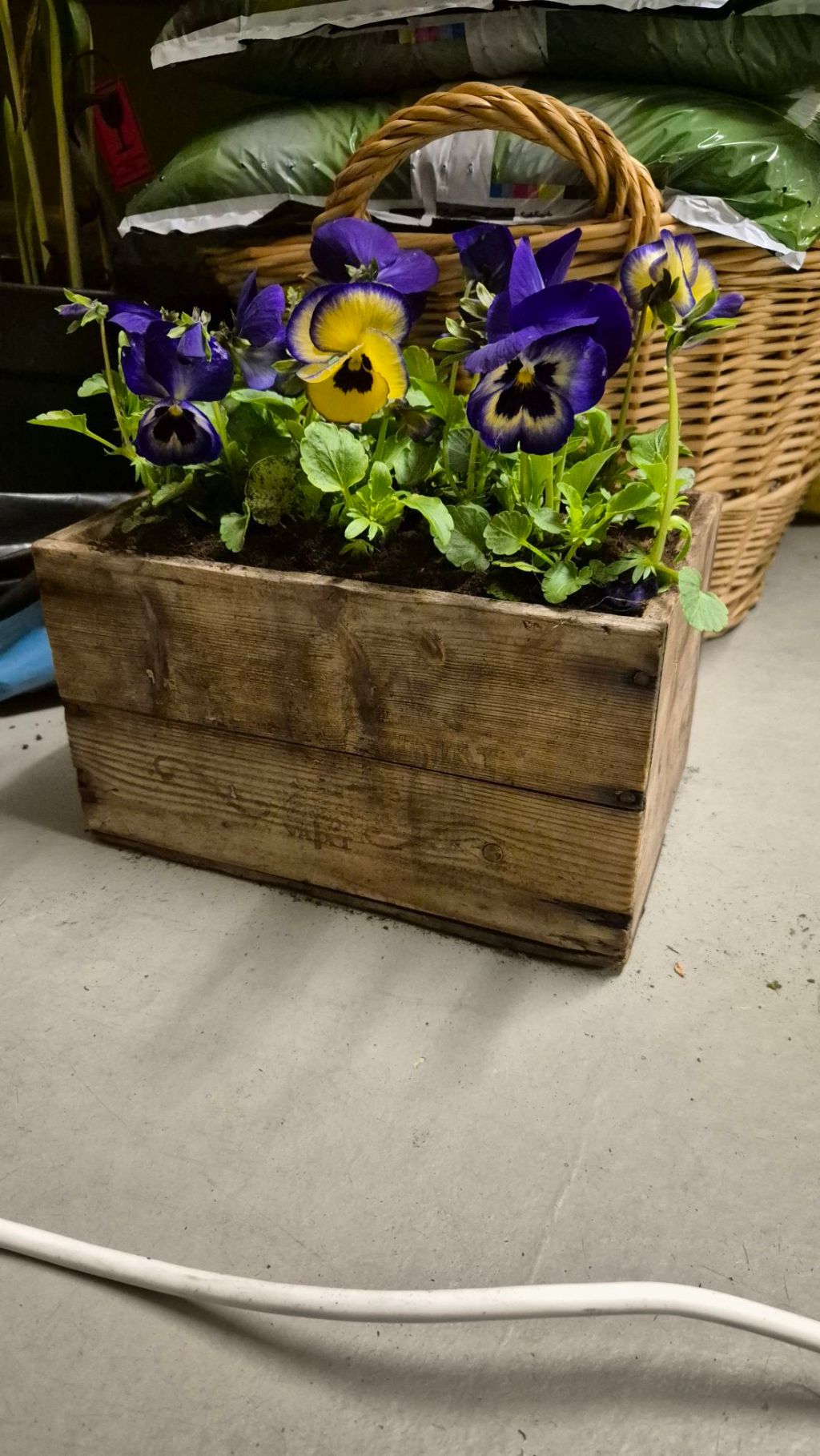 🤗 penséer i&nbsp;mängder